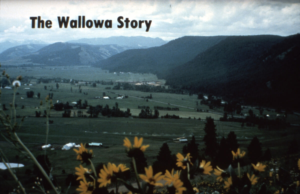Title card. Looking south from Smith Mountain across the lower valley. Taken by Janie Tippett.