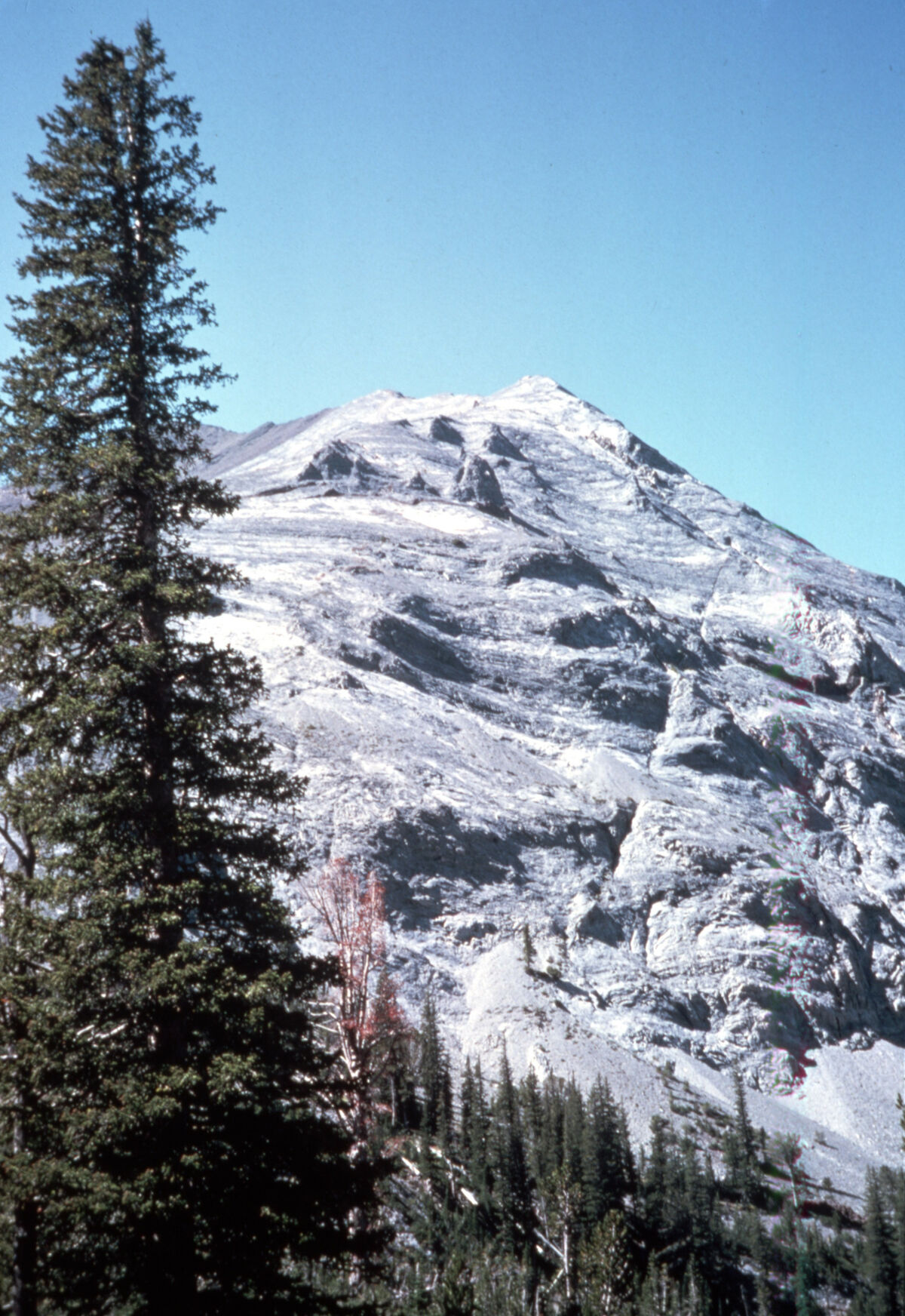 Sacagawea Mountain in the Eagle Cap wilderness. Taken by Janie Tippett.