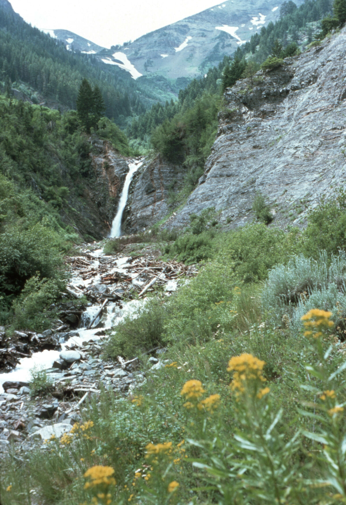 Falls Creek waterfall above the Hurricane Creek trail, on the trail to the LeGore Mine and LeGore Lake. Taken by Janie Tippett.
