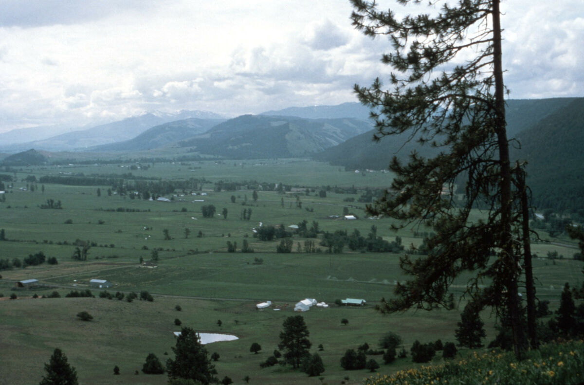 View from Smith Mountain. Taken by Janie Tippett.