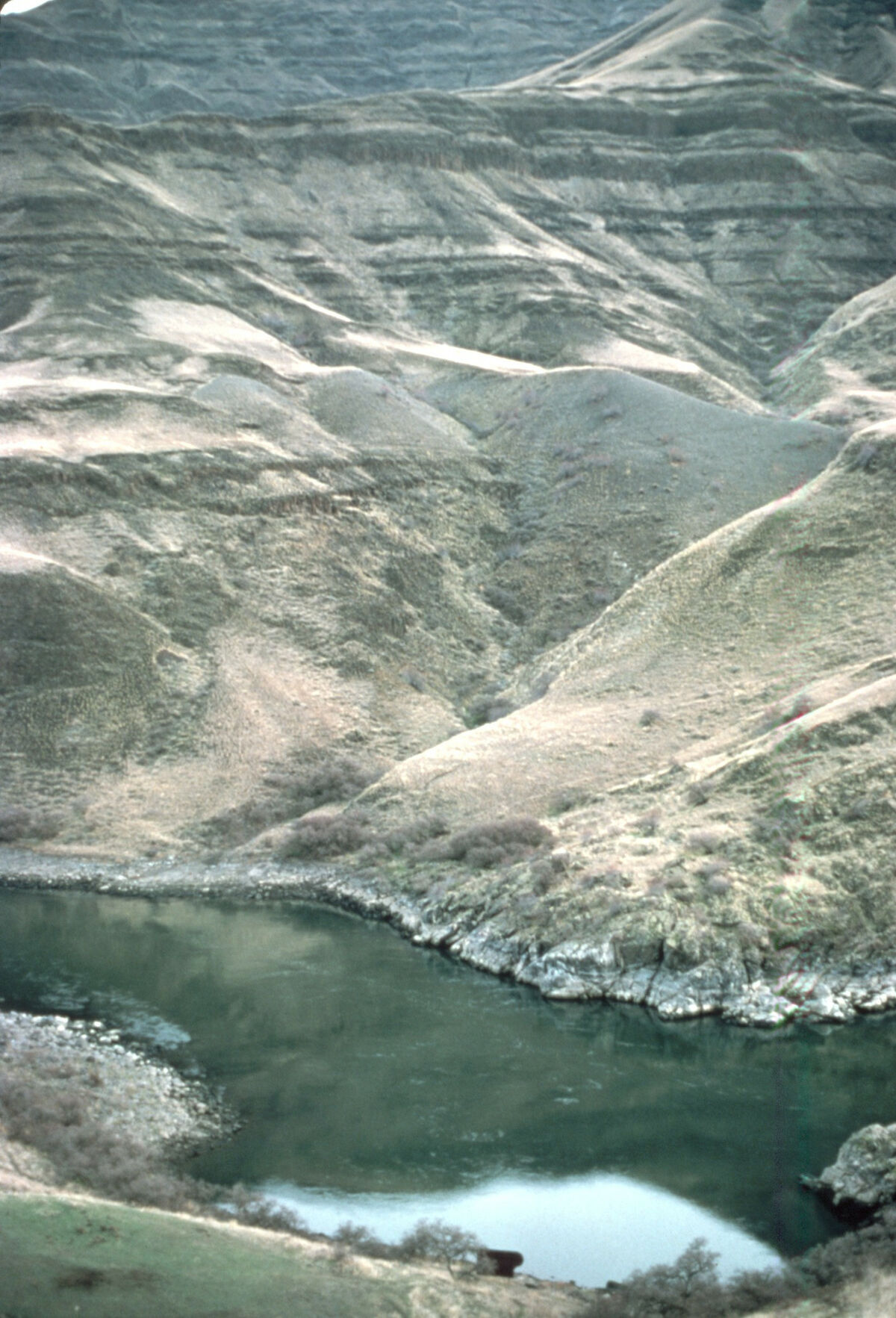 Snake River crossing at Dug Bar. Taken by Janie Tippett.