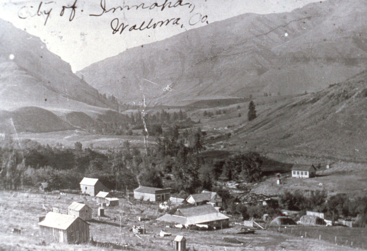 The city of Imnaha, taken around 1910. Taken by Roy Edgemond.