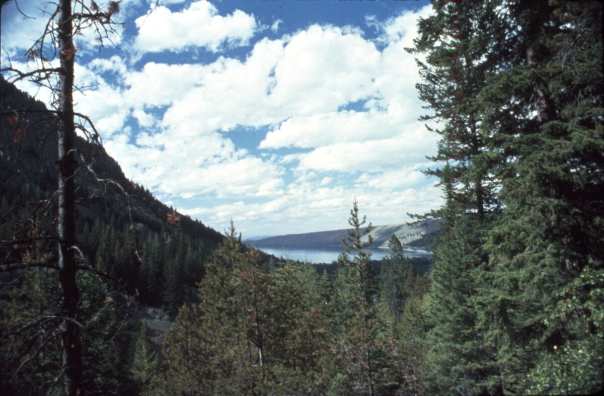 View of Wallowa Lake from the High Wallowas Gondola at Mt. Howard. Taken by Janie Tippett.