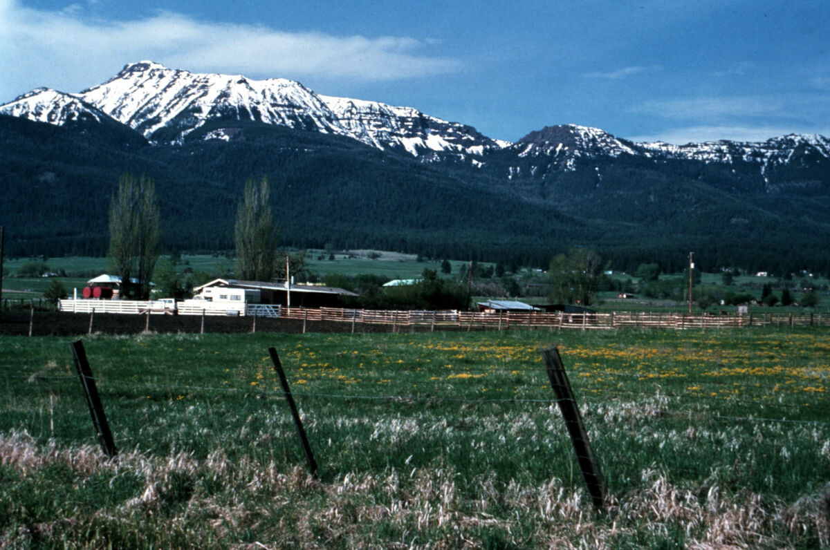 Alder Slope, looking up at Ruby Peak in the Wallowa Mountains. Taken by Janie Tippett.