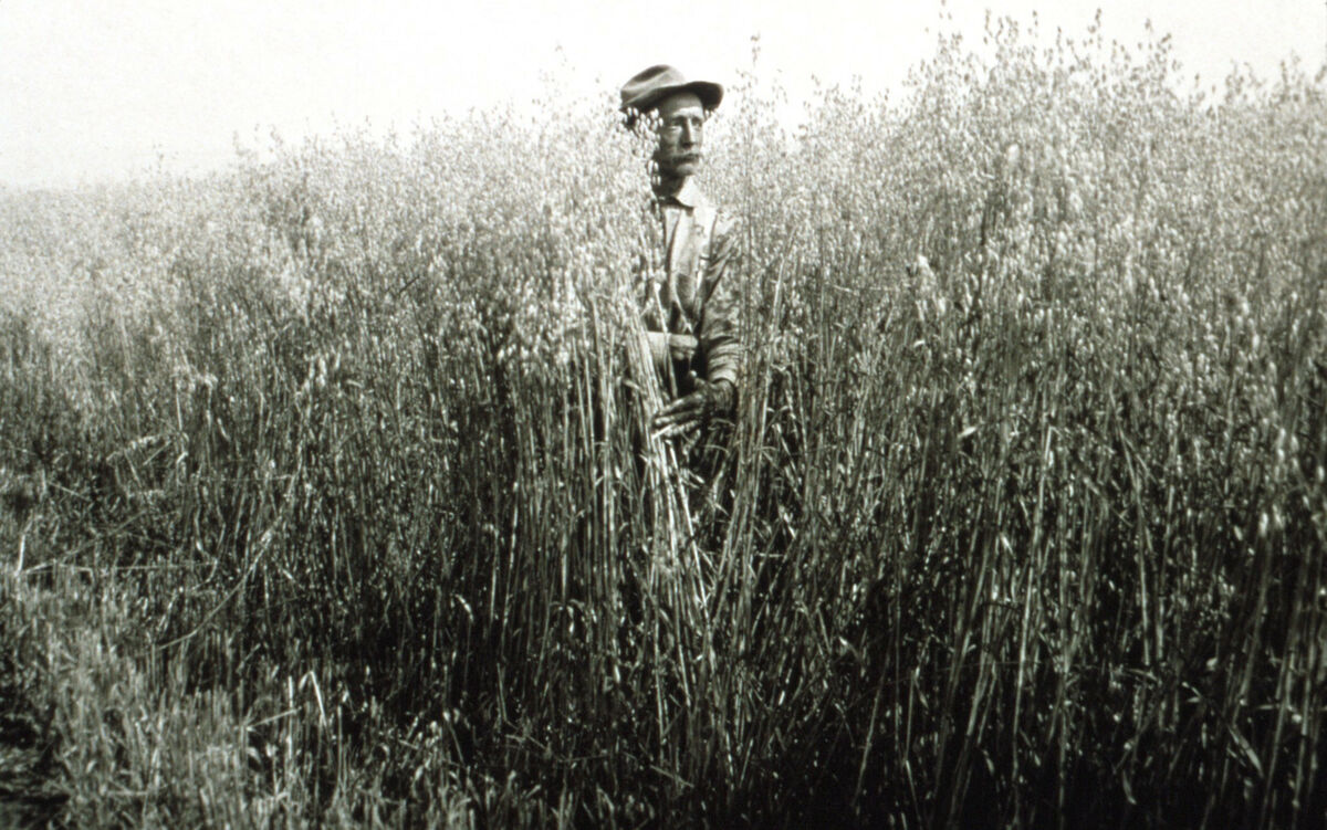 Janie Tippett remembers this photo from the Enterprise Record Chieftain’s anniversary issue. The original photo may have been taken in or around 1910.