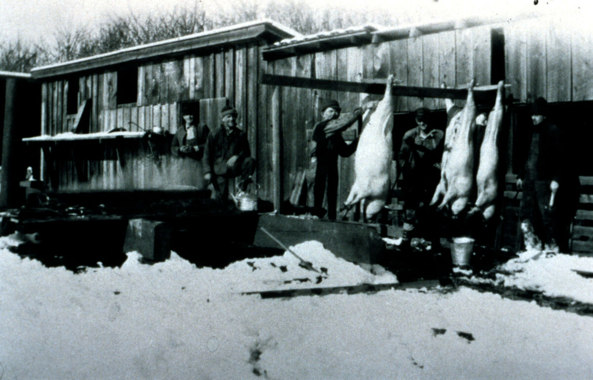 A logging camp in the forest. Possibly the caboose cabins at Maxville.