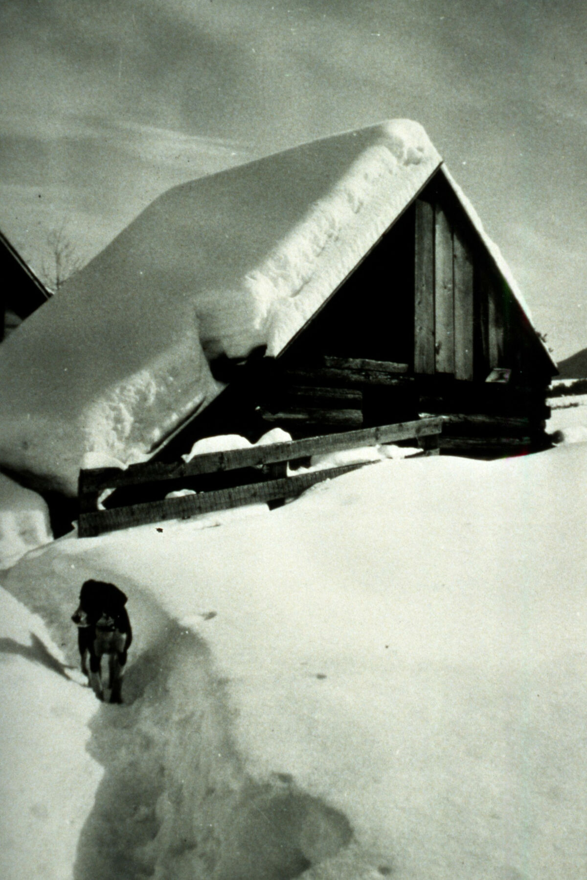 Possibly taken by Cressie Green.