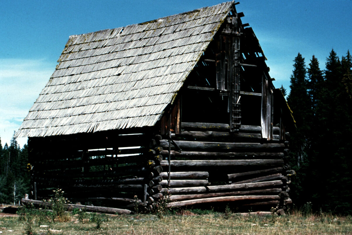 An example of an old bar, possibly taken by Cressie Green.