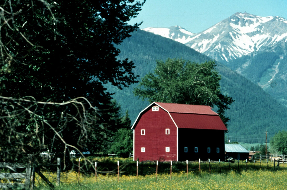 A classic barn on Hurricane Creek. Francis Buckles owns it as of 2022, and the barn is still in good shape. Taken by Janie Tippett.