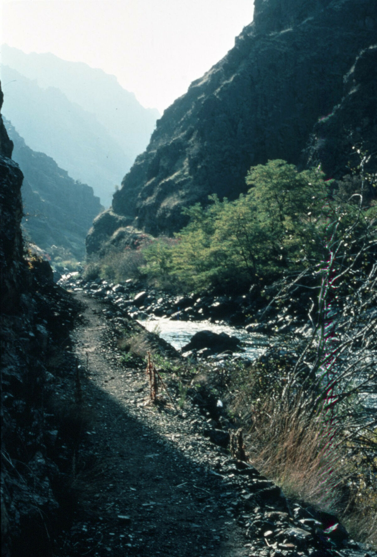 The Lower Imnaha Trail below Cow Creek, above Eureka Bar. Taken by Janie Tippett.