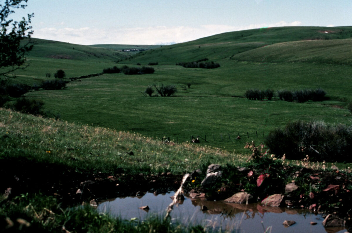 The Tippett place in the hills on 3,000 acres at Wet Salmon Creek. Taken by Janie Tippett.