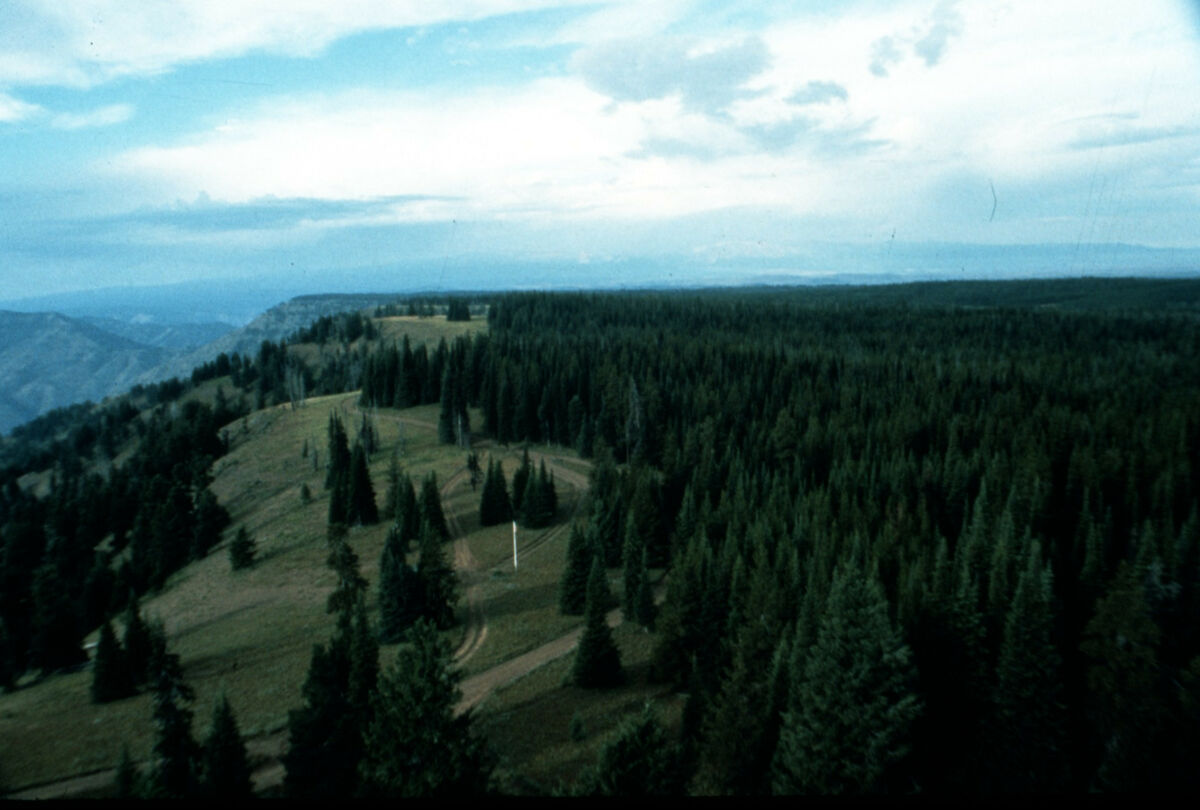 Courtesy of the U.S. Forest Service.