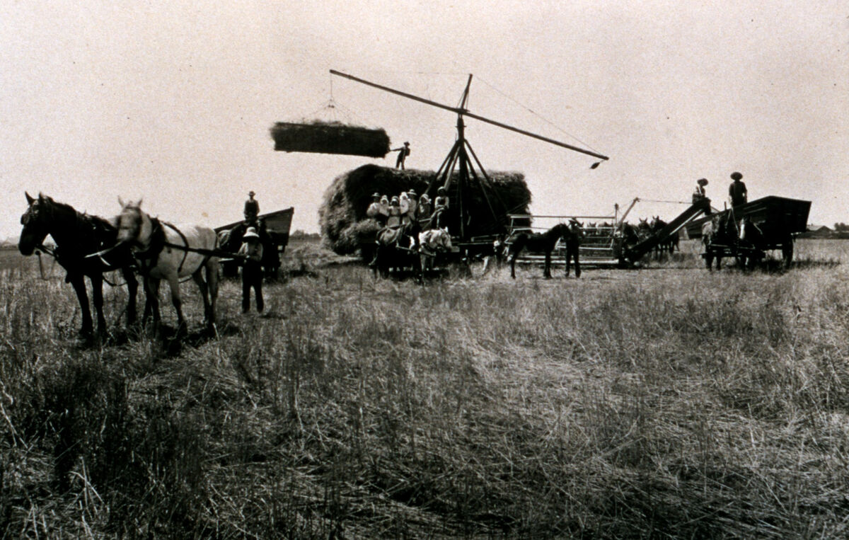 A swing-pole derrick lifts the hay bales.