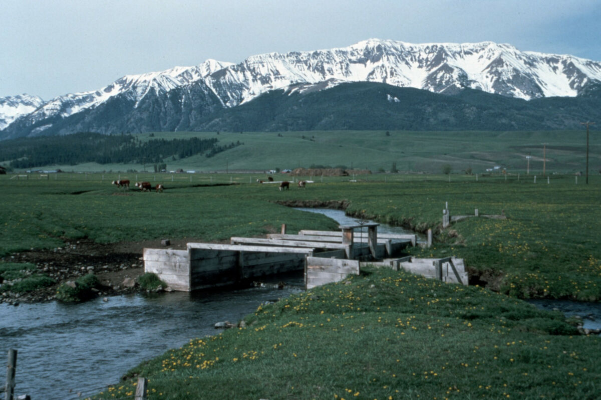 Silver Lake Ditch carries water from Wallowa Lake to the farms along Tenderfoot Valley Road on Prairie Creek. Taken by Janie Tippett.