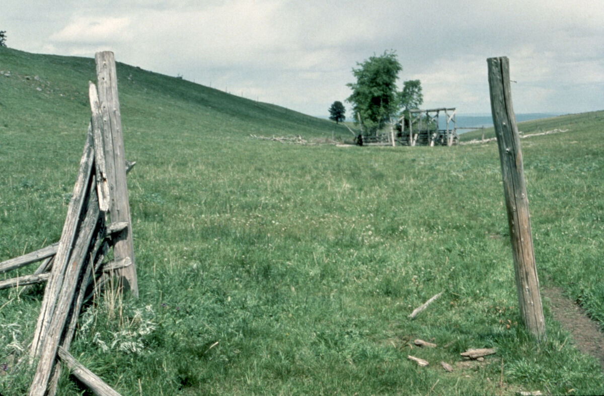What remains of the site of the rodeo that would become the Chief Joseph Days rodeo, in a swale near Wallowa Lake. None of the structures are still standing in 2022. Taken by Janie Tippett.