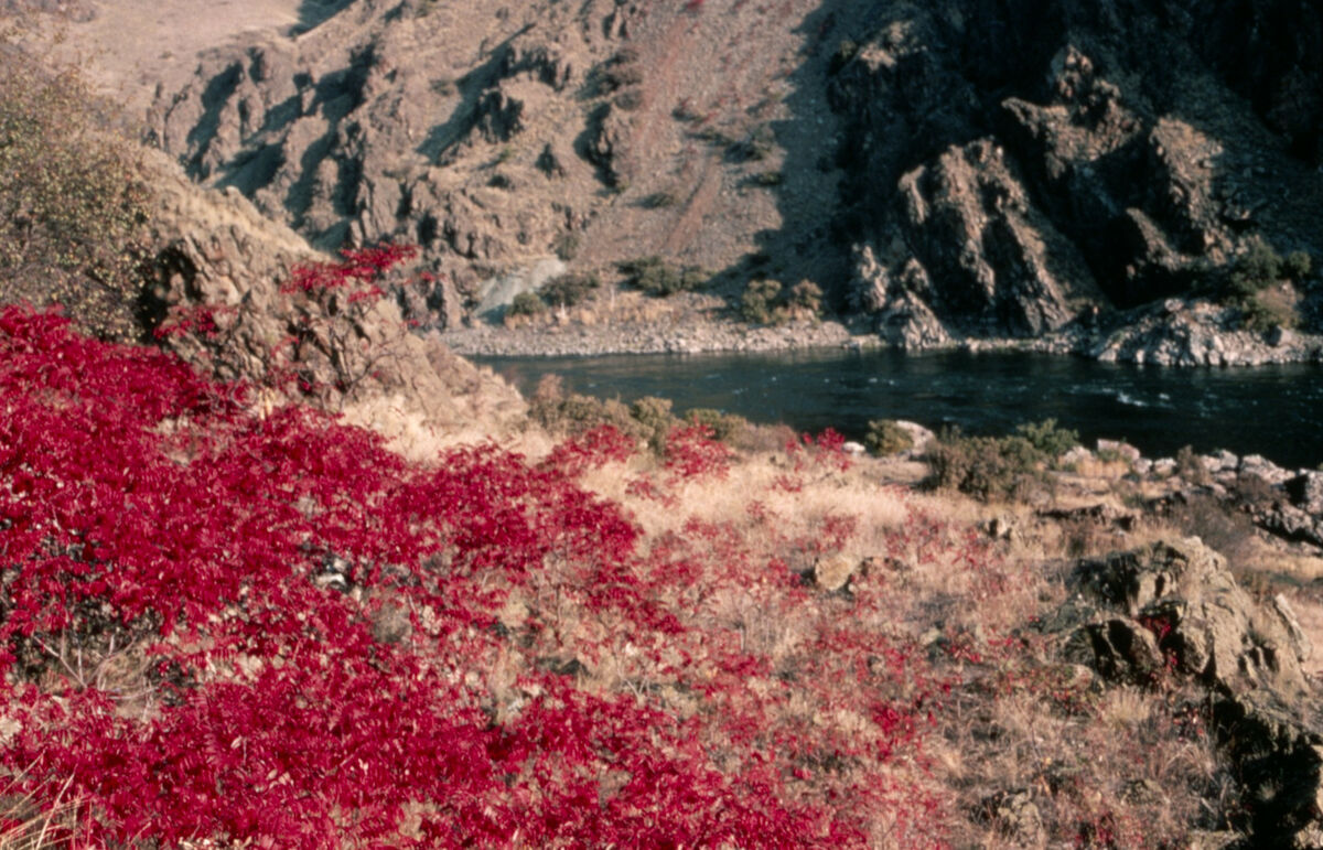 Photo taken upstream from Dug Bar on the Snake River, not far from the site of the Deep Creek massacre of Chinese miners. This is the full-size version of slide 146. Taken by Janie Tippett.