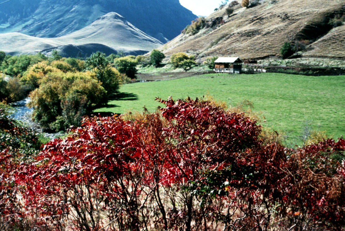 A homestead on the lower Imnaha River. Taken by Janie Tippett.