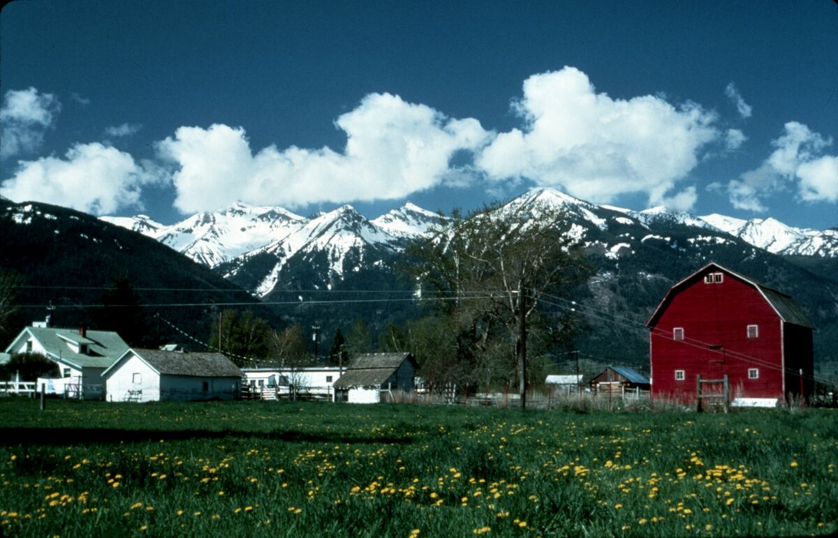 The Himmelwright barn stands with Hurricane Creek in the background. Taken by Janie Tippett.
